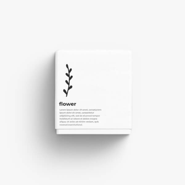 Bluberry - Görsel 3